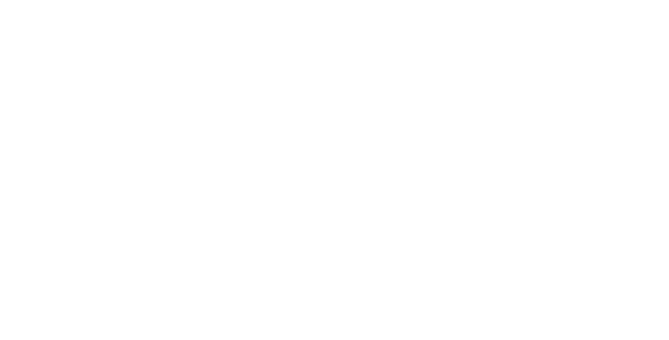 logo light
